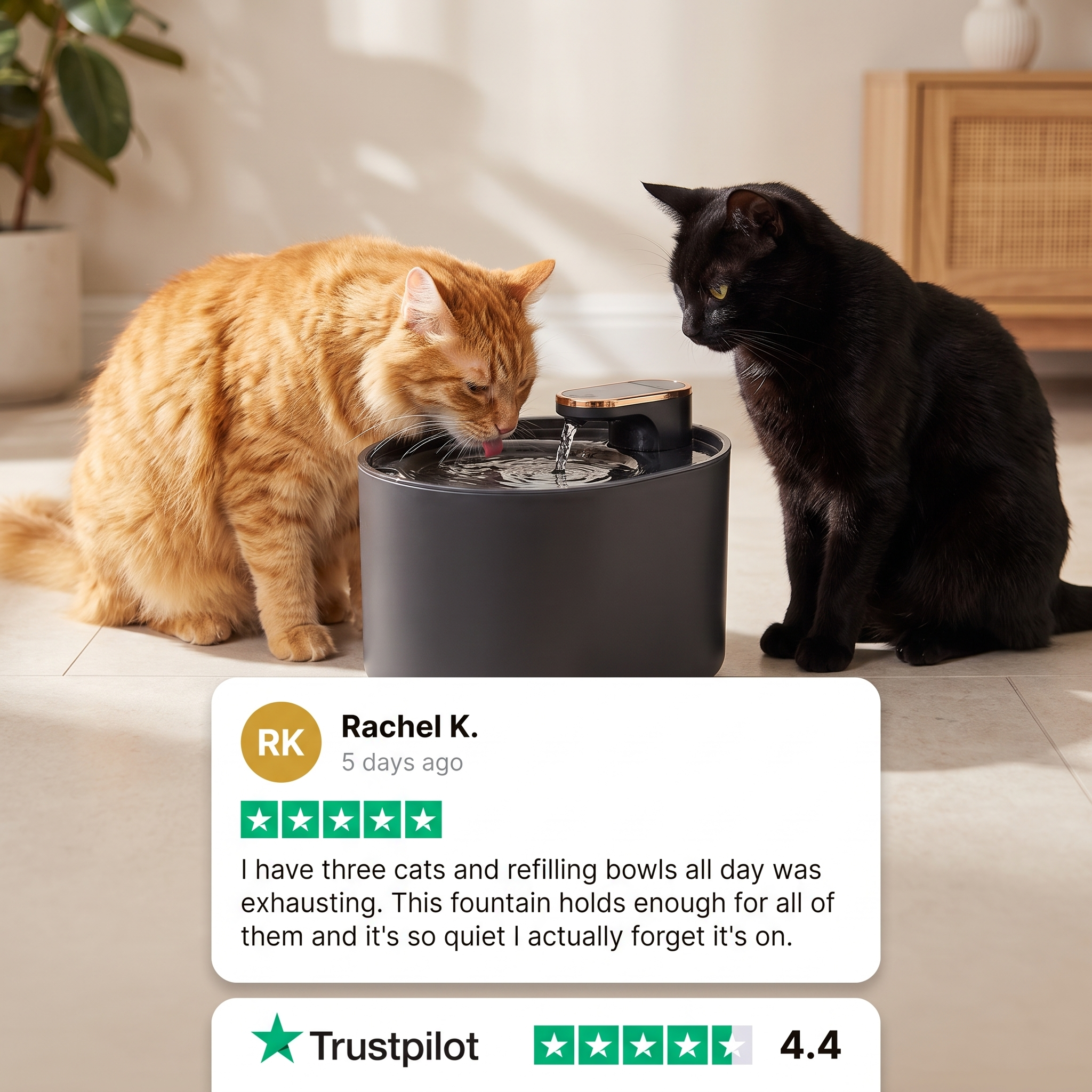 HydraPurr