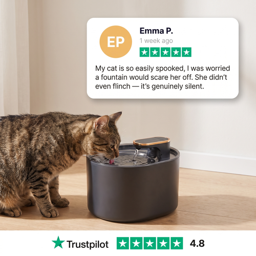 HydraPurr